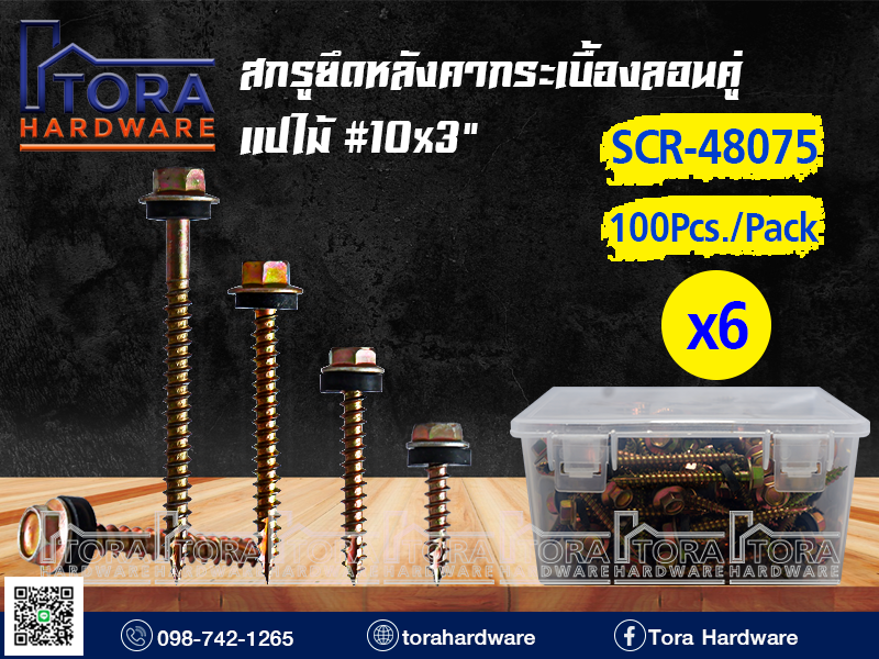 สกรูปลายแหลมยึดหลังคากระเบื้องลอนคู่10x3